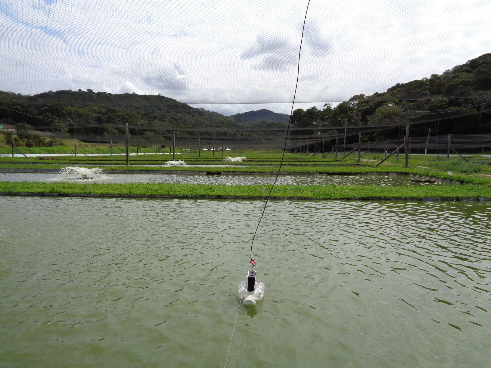 Seneye node monitoring in the middle of Brazilian Fish Farm